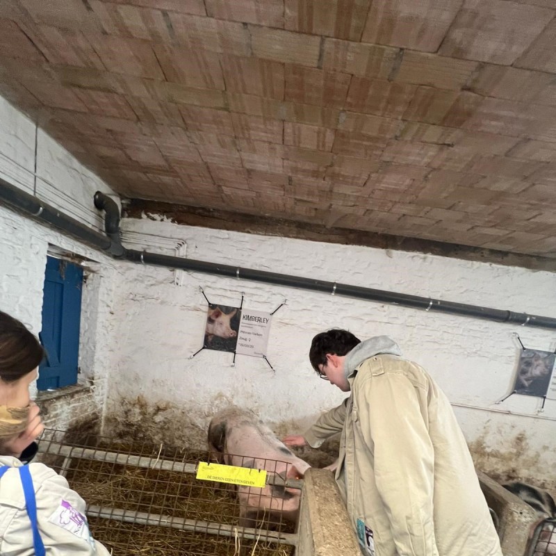 WhatsApp Image 2026-03-01 at 16.59.45  3 - Scouts en Gidsen Zaventem 